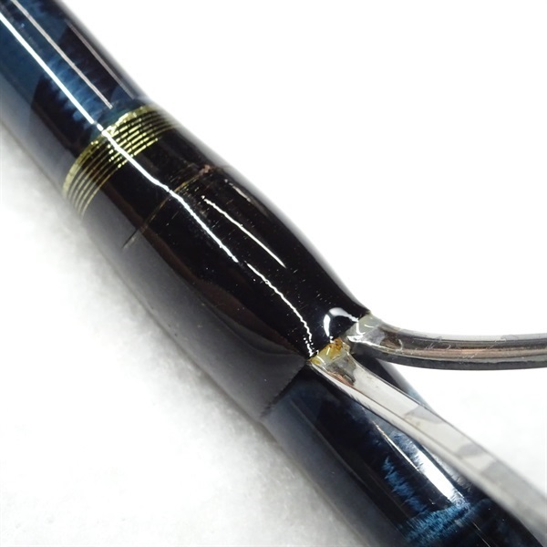 ０９カーディフＸ１１０ＭＨ